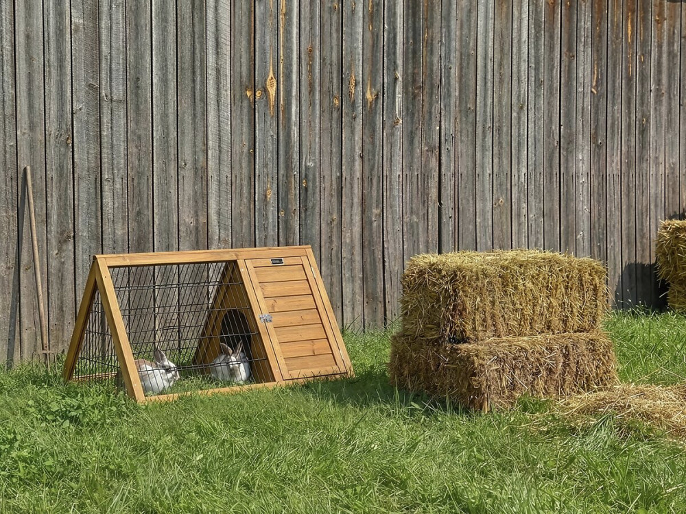 Hutch "Biscotte" - 100 x 62 x 52 cm - Brązowy