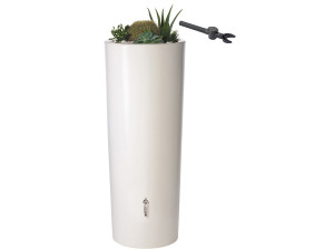 Couleur Coco