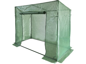 Pomidor ogrodowy "Lys" szklarniany - 1,6 m² - 130 g - zielony