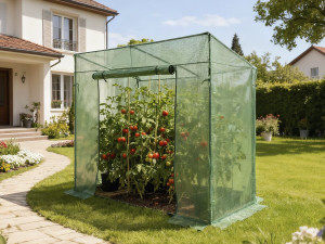 Pomidor ogrodowy "Lys" szklarniany - 1,6 m² - 130 g - zielony 2