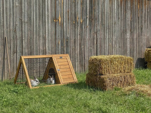 Hutch "Biscotte" - 100 x 62 x 52 cm - Brązowy 2